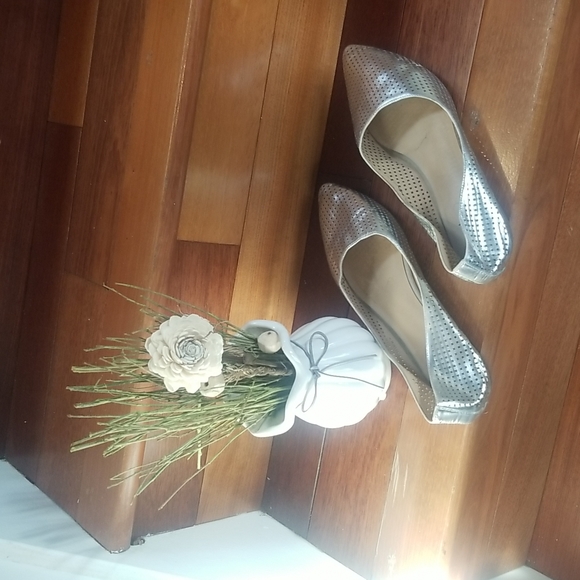 Silver flats - Picture 2 of 5